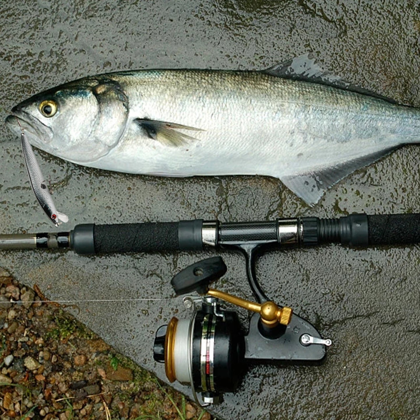 10 cm 9 g sjunkande elritsa hårt bete