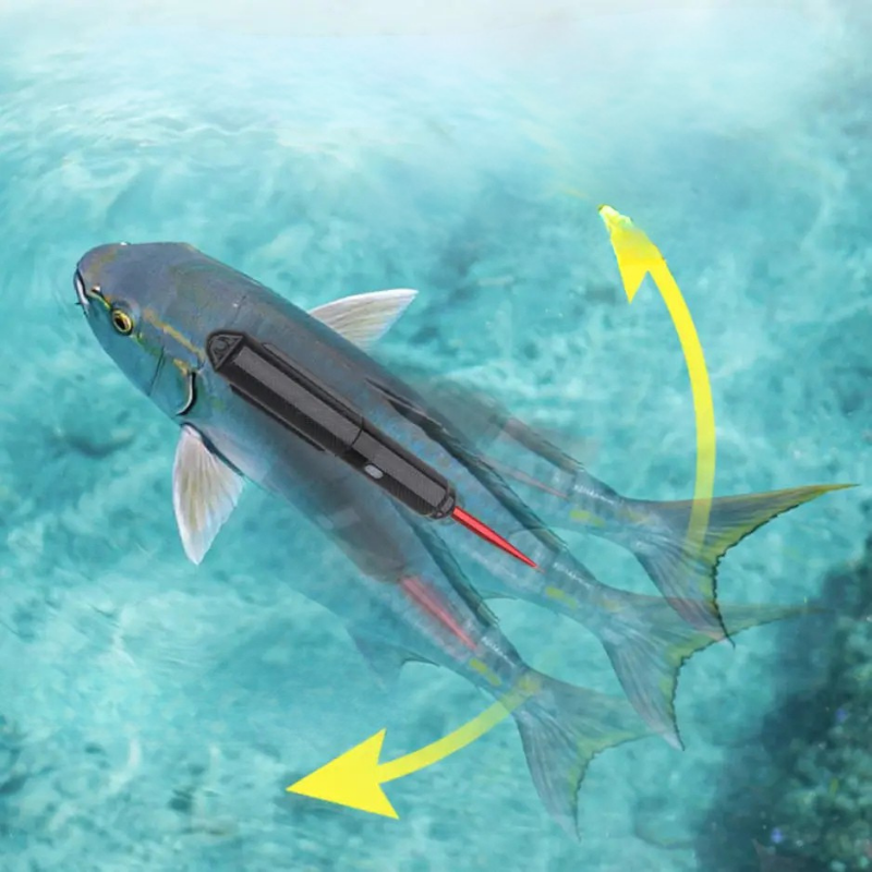 Uppladdningsbart robotiskt självsimmande fiskedrag