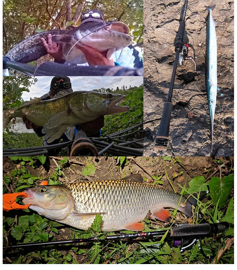 High Carbon Spinning Bass Rod med FUJI Detaljer & Spinnrulle
