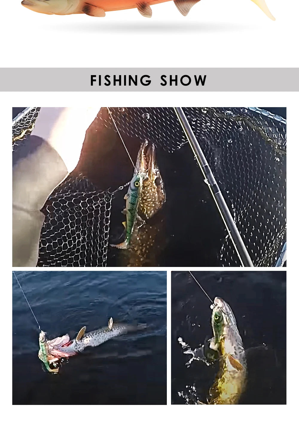 Spinpoler Big Shad Rubber Swimbait