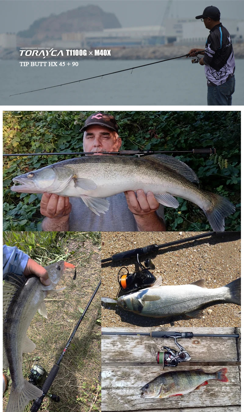 High Carbon Spinning Bass Rod med FUJI Detaljer & Spinnrulle
