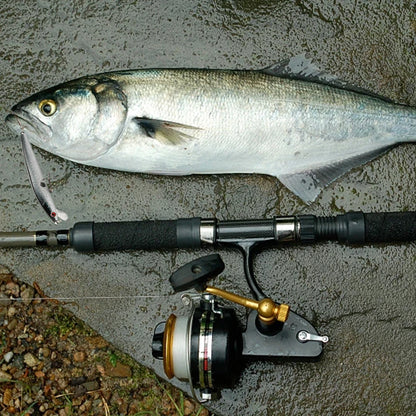 10 cm 9 g sjunkande elritsa hårt bete